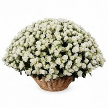 Кошик з 101 білої кущової троянди